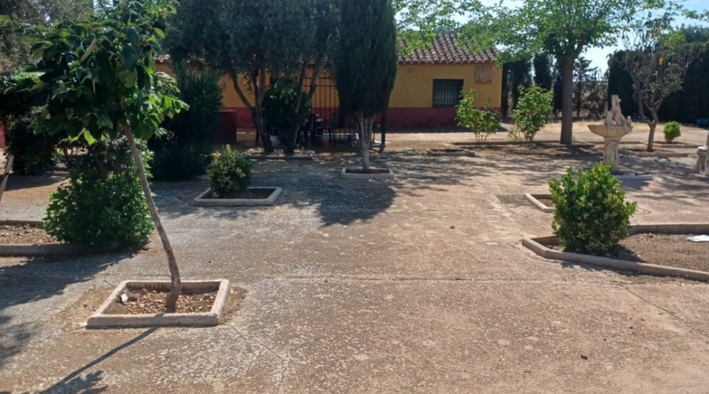 Ciudad Real - Valdepeñas - 28937m2