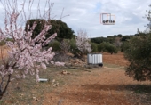 Casa de camp amb terreny en venda a Valdepeñas ref.: TR284998 foto