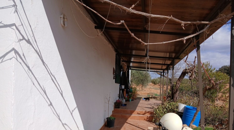 Ciudad Real - Valdepeñas - 5400m2