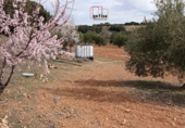 Casa de camp amb terreny en venda a Valdepeñas ref.: TR284998 foto