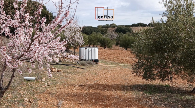 Ciudad Real - Valdepeñas - 5400m2