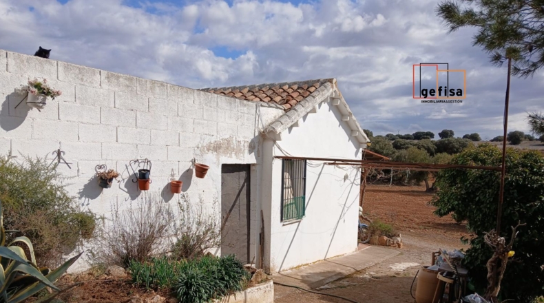 Ciudad Real - Valdepeñas - 5400m2