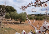 Casa de camp amb terreny en venda a Valdepeñas ref.: TR284998 foto