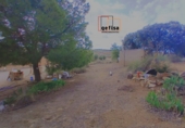 Casa de camp amb terreny en venda a Valdepeñas ref.: TR284998 foto
