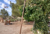 Casa de camp amb terreny en venda a Valdepeñas ref.: TR284998 foto