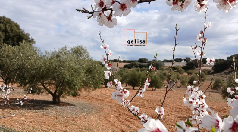 Ciudad Real - Valdepeñas - 5400m2