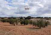 Casa de camp amb terreny en venda a Valdepeñas ref.: TR284998 foto