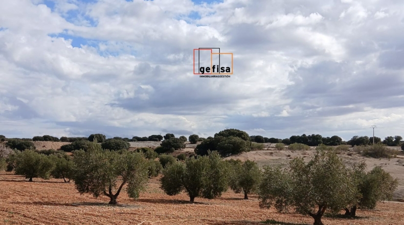 Ciudad Real - Valdepeñas - 5400m2