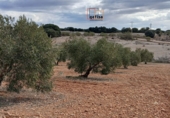 Casa de camp amb terreny en venda a Valdepeñas ref.: TR284998 foto