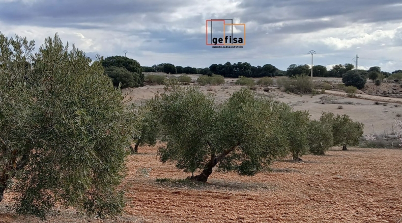 Ciudad Real - Valdepeñas - 5400m2