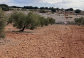 Casa de camp amb terreny en venda a Valdepeñas ref.: TR284998 foto