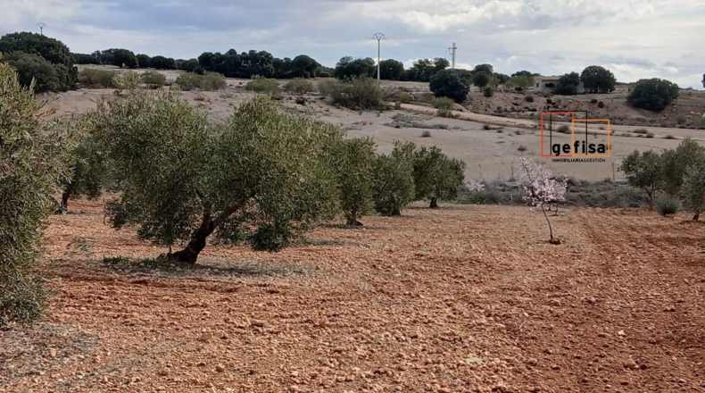 Ciudad Real - Valdepeñas - 5400m2