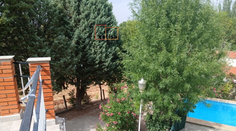 Ciudad Real - Santa Cruz de Mudela - 1000m2