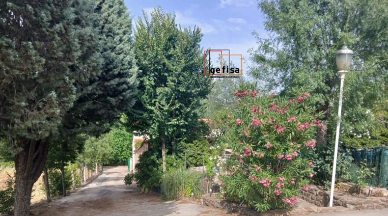 Ciudad Real - Santa Cruz de Mudela - 1000m2