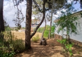 Xalet independent amb terreny en venda a Santa Cruz de Mudela ref.: TR258328 foto