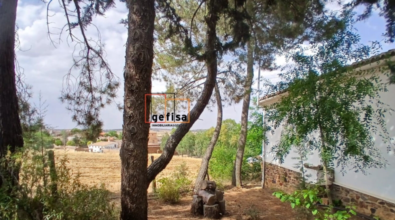 Ciudad Real - Santa Cruz de Mudela - 1000m2