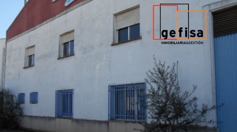 Ciudad Real - Valdepeñas - 1000m2