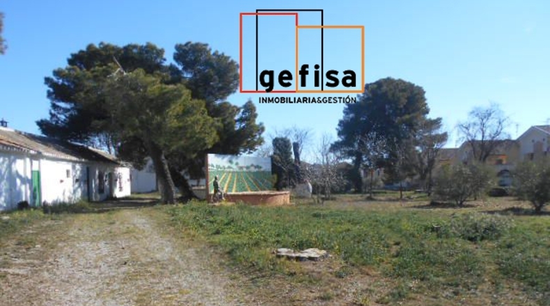 Ciudad Real - Valdepeñas - 6000m2