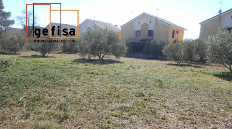 Ciudad Real - Valdepeñas - 6000m2