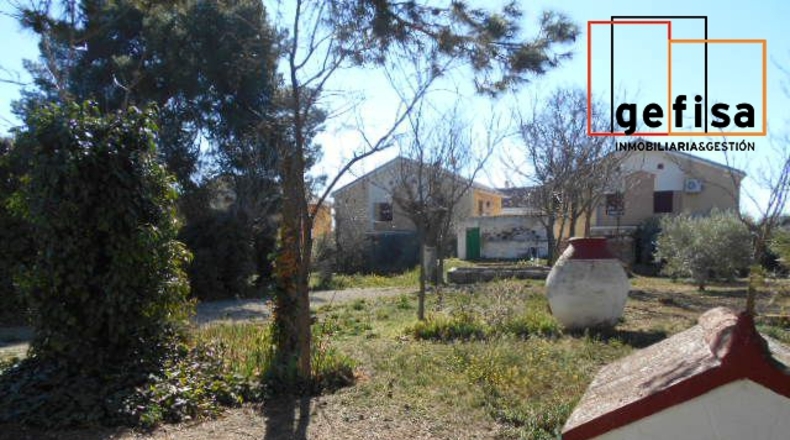 Ciudad Real - Valdepeñas - 6000m2