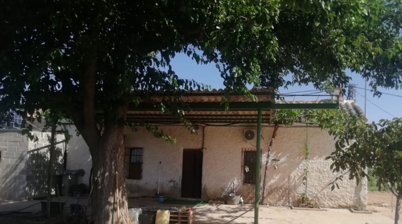 Ciudad Real - Valdepeñas - 6500m2