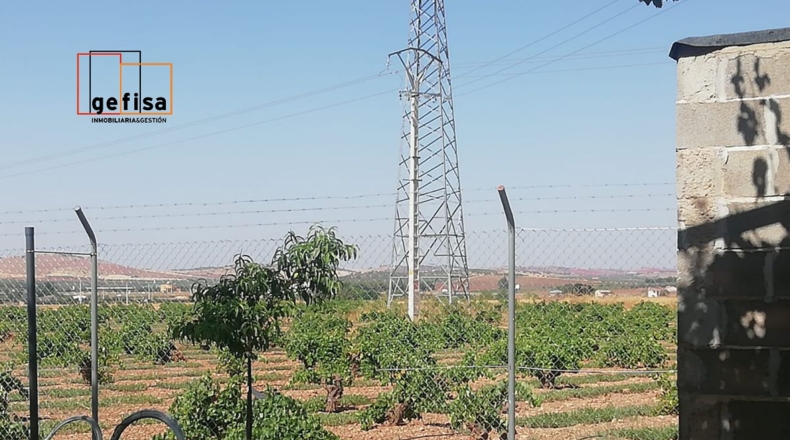 Ciudad Real - Valdepeñas - 6500m2