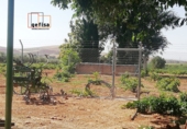 Casa de camp amb terreny en venda a Valdepeñas ref.: TR181030 foto