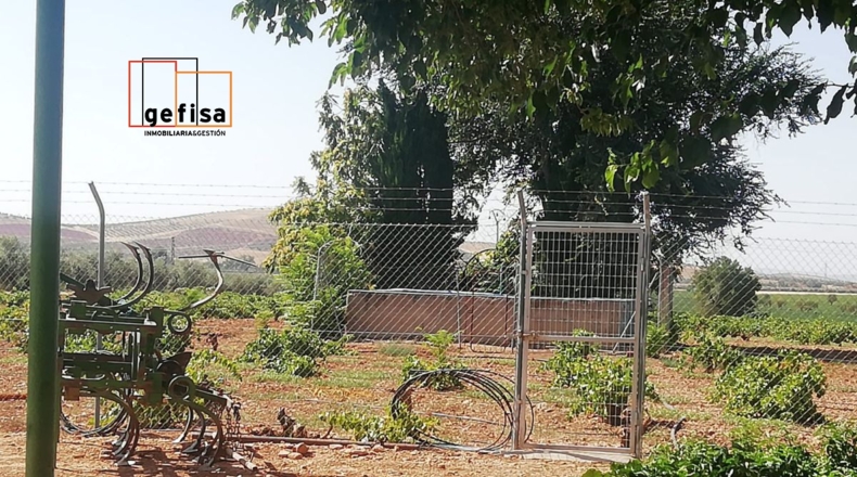 Ciudad Real - Valdepeñas - 6500m2
