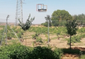 Casa de camp amb terreny en venda a Valdepeñas ref.: TR181030 foto