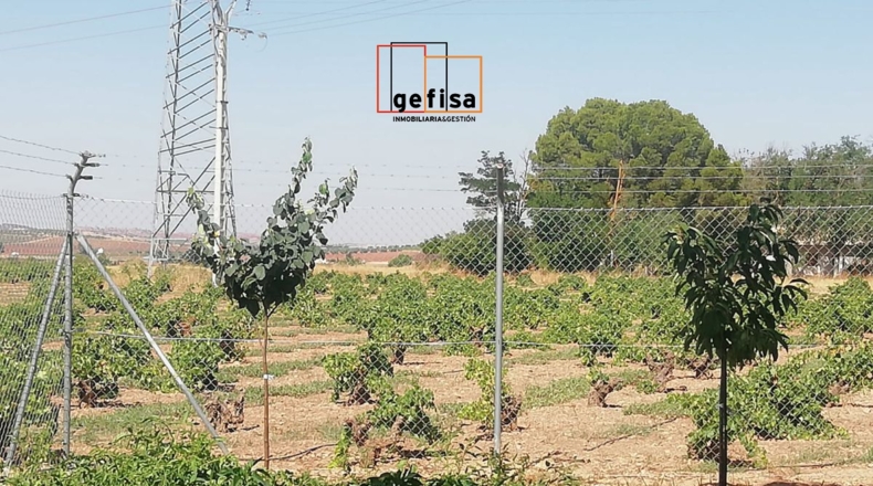 Ciudad Real - Valdepeñas - 6500m2