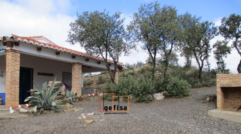 Ciudad Real - Almuradiel - 5000m2