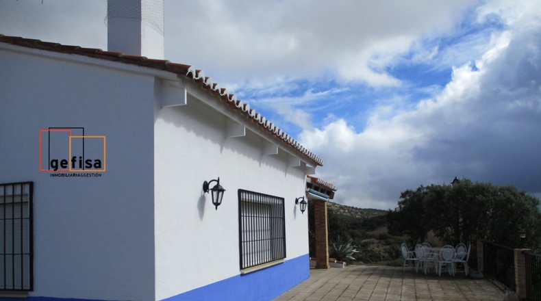 Ciudad Real - Almuradiel - 5000m2