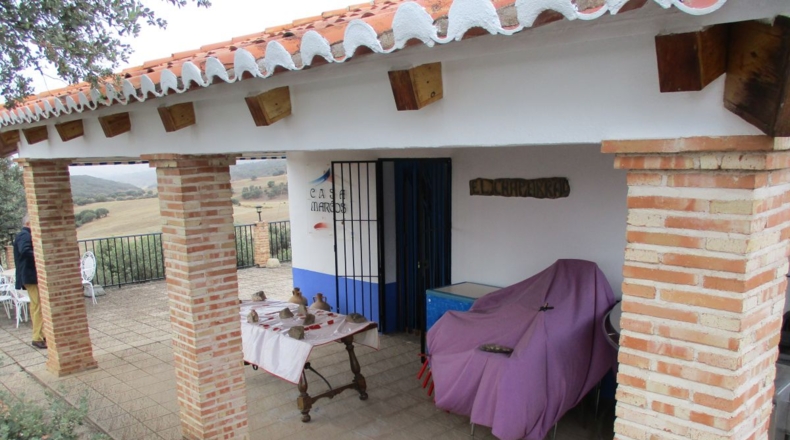 Ciudad Real - Almuradiel - 5000m2