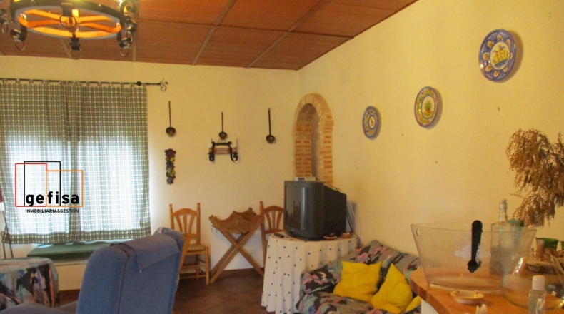 Ciudad Real - Almuradiel - 5000m2