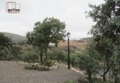 Country house with land for sale in Almuradiel ref: TR252608 photo
