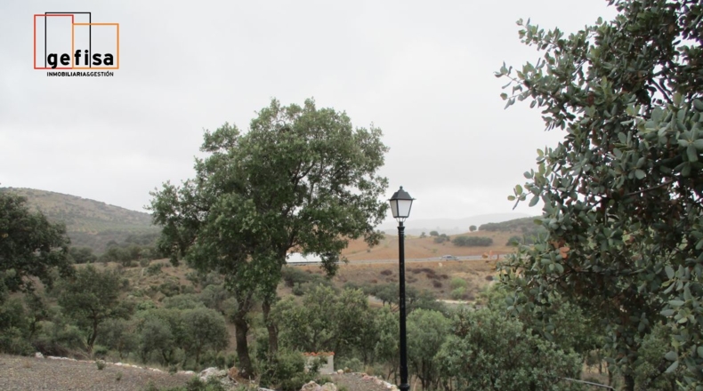 Ciudad Real - Almuradiel - 5000m2