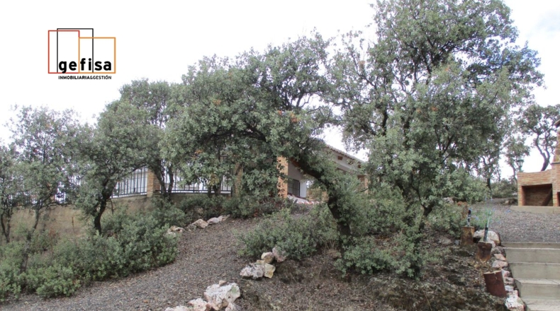 Ciudad Real - Almuradiel - 5000m2