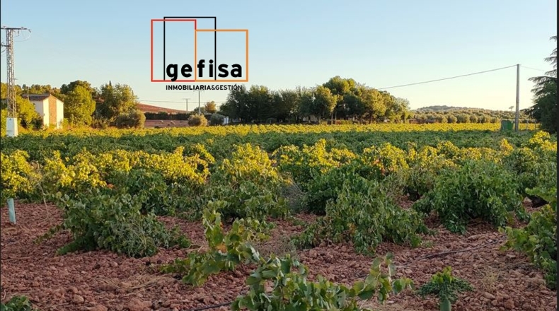 Ciudad Real - Valdepeñas - 39112m2