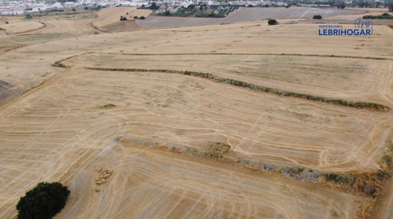 Sevilla - Lebrija - 7700m2