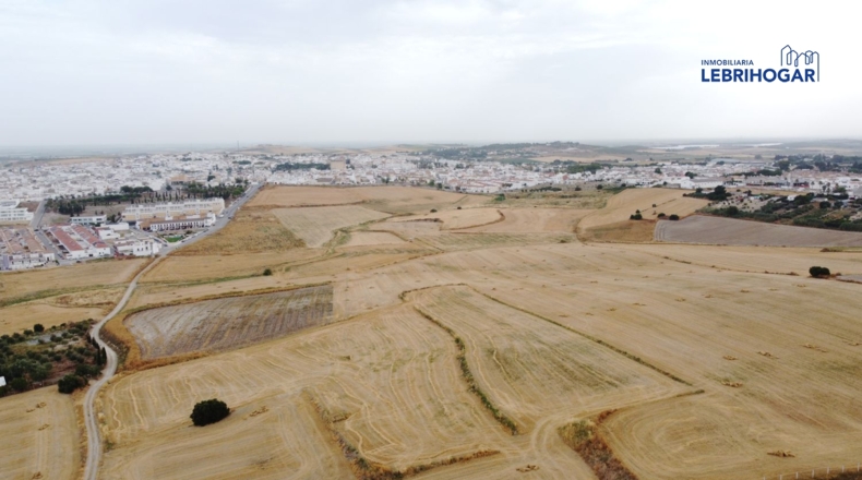 Sevilla - Lebrija - 7700m2