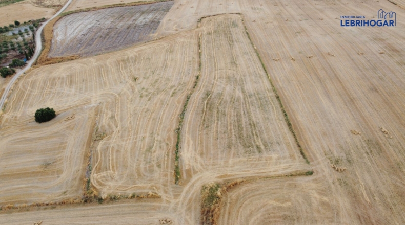 Sevilla - Lebrija - 7700m2
