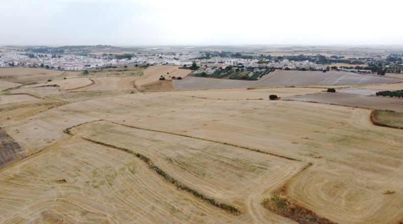 Sevilla - Lebrija - 7700m2