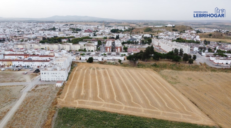 Seville - Lebrija - 17000m2