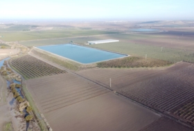 Lebrija 40000&nbsp;м²