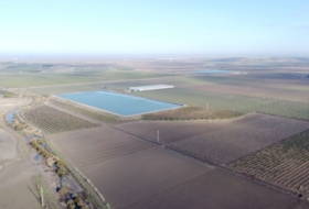 Lebrija 40000&nbsp;м²