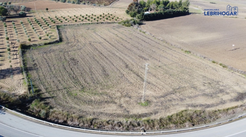 Sevilla - Lebrija - 9318m2