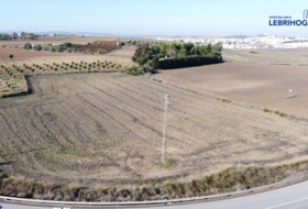 Lebrija 9318&nbsp;м²