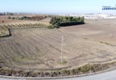 Terreny no urbanitzable en venda a Lebrija ref.: TR363863 foto