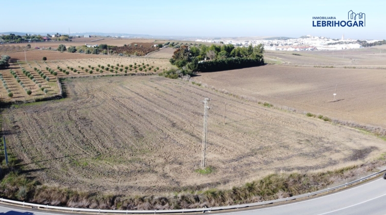 Sevilla - Lebrija - 9318m2