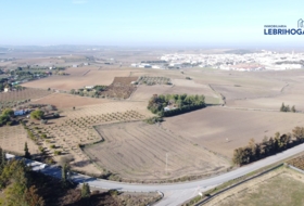Lebrija 9318&nbsp;м²
